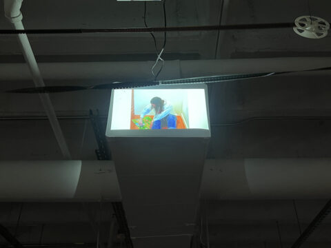 Experiments in media show